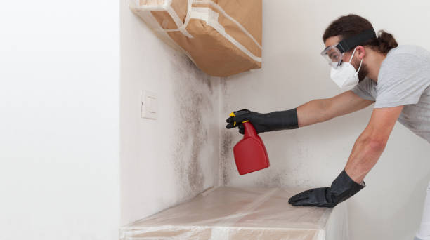 Professional Bathroom Mold Removal technician working in Garfield, NJ