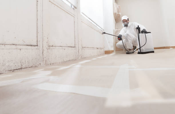 24/7 Emergency Bathroom Mold Removal experts in Garfield, NJ